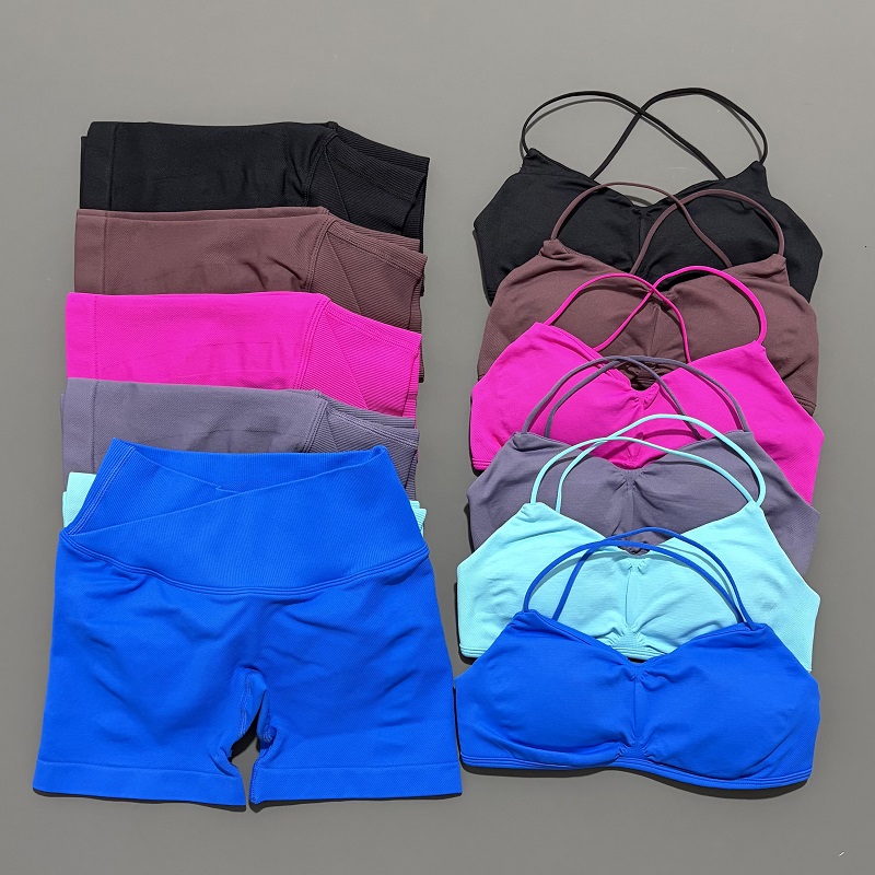 Bra Top Seamless - 2 peça visão ginásio conjunto feminino